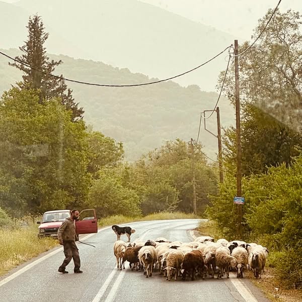 Tinto Travels Greece 3