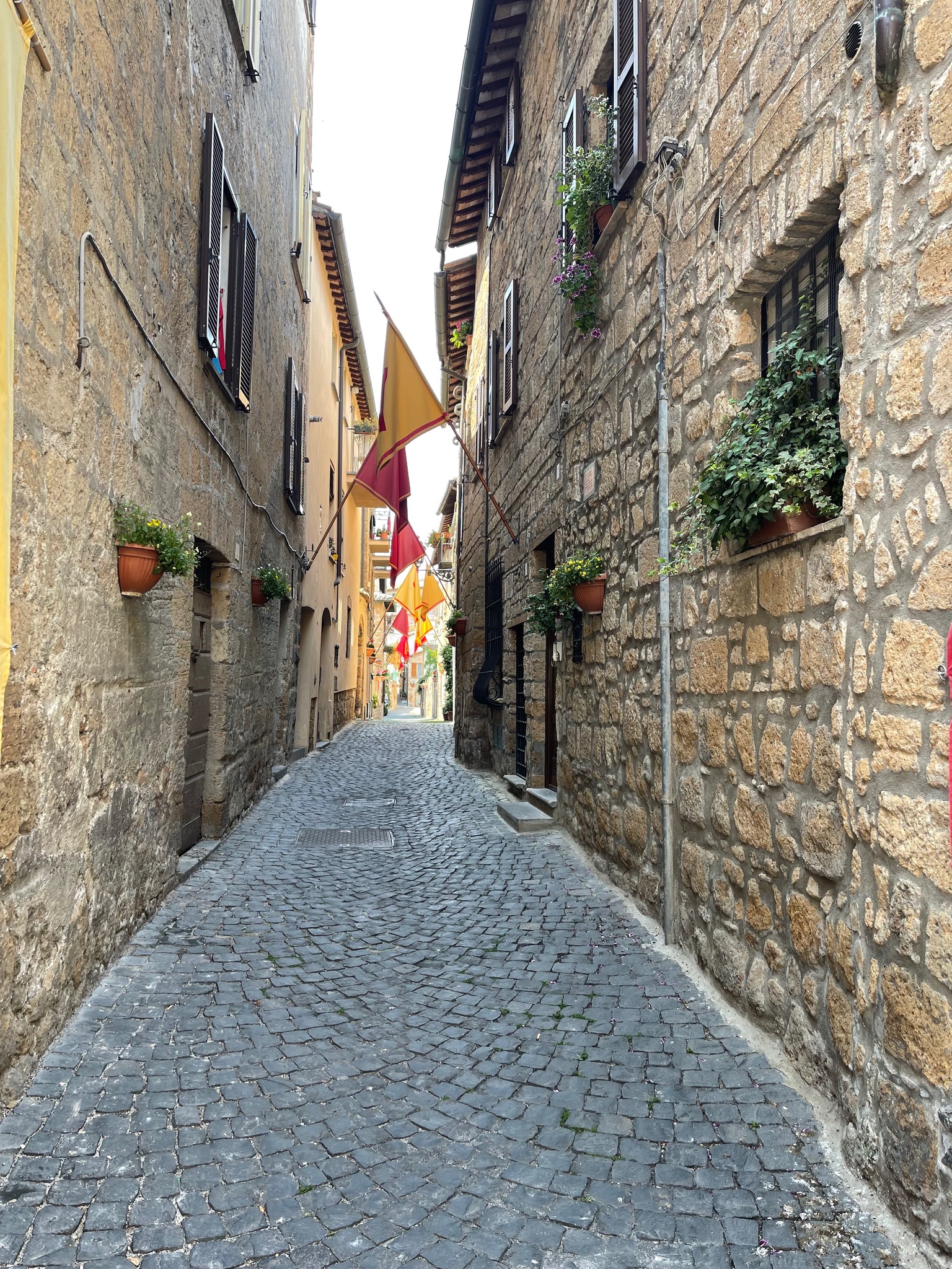 img_1546_54325858380_o